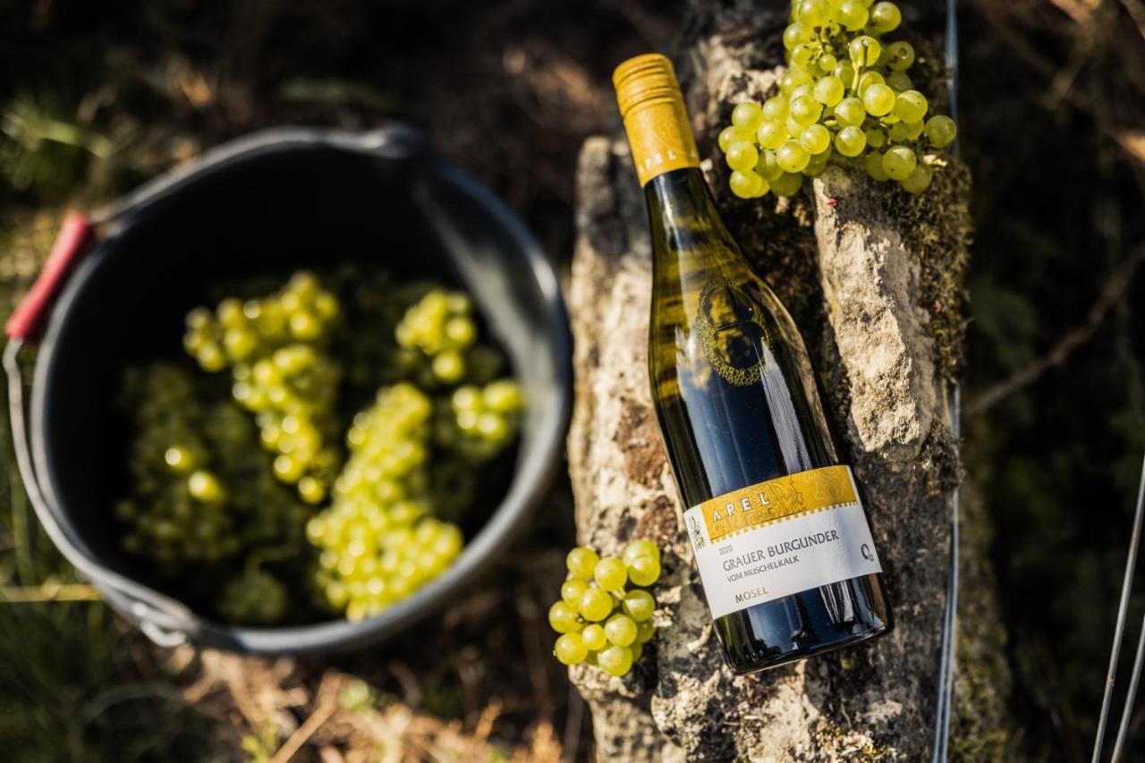 Weingut Und Gaestehaus Apel Нител Екстериор снимка