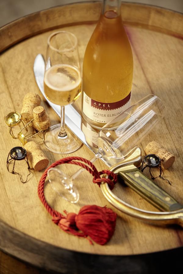 Weingut Und Gaestehaus Apel Нител Екстериор снимка
